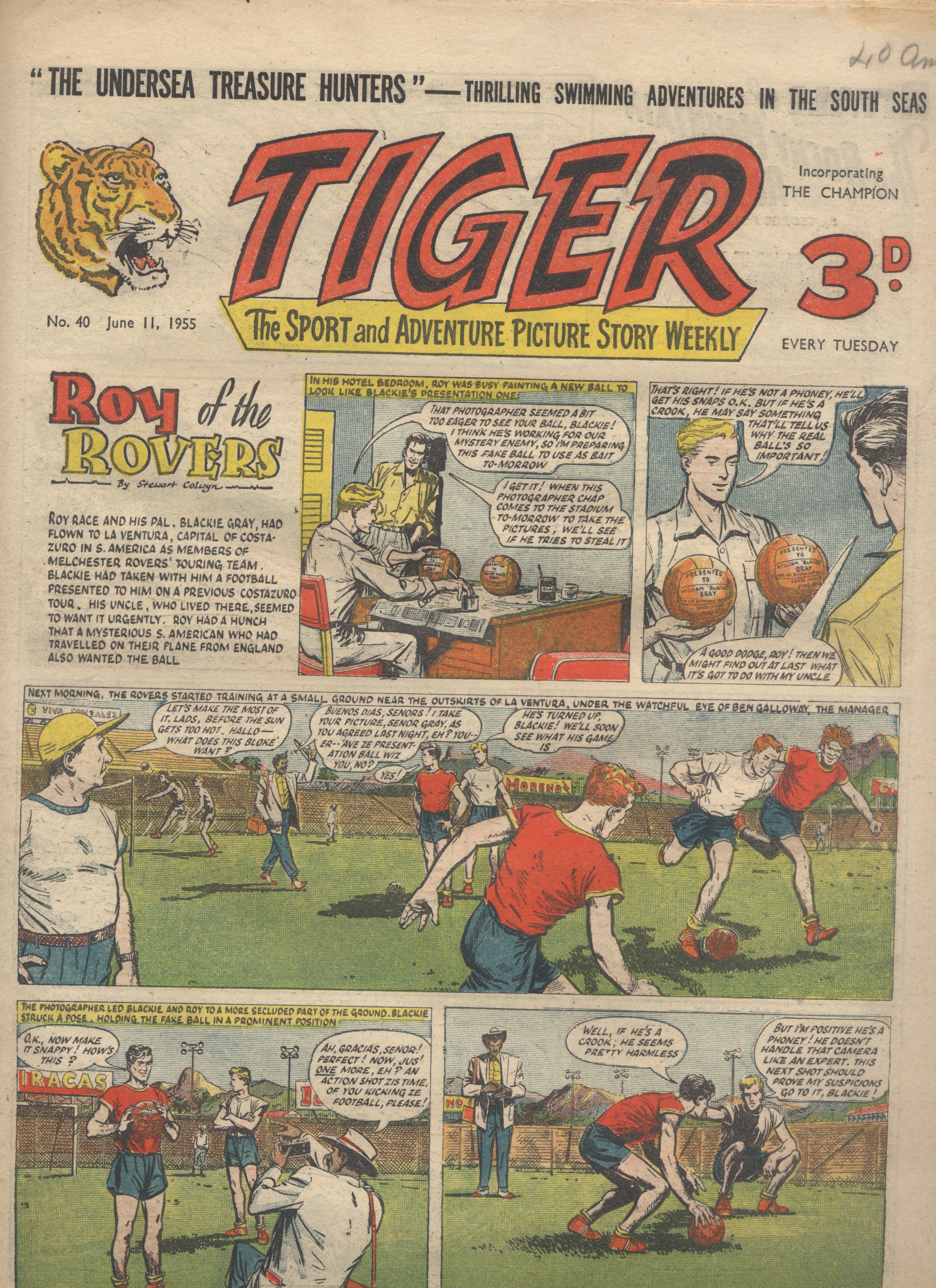 Tiger